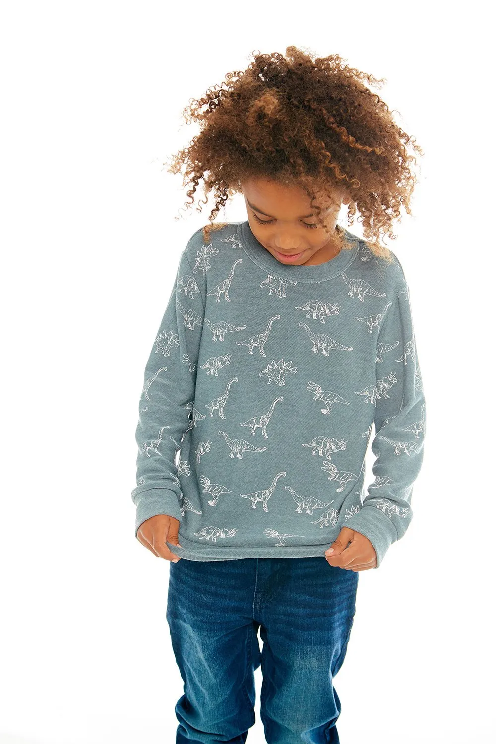 Chaser - Dino Dance Long Sleeve Knit