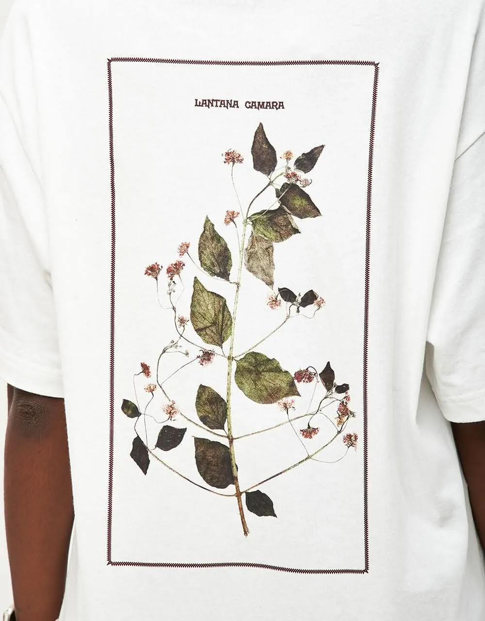 Pass Port Lantana T-Shirt - White