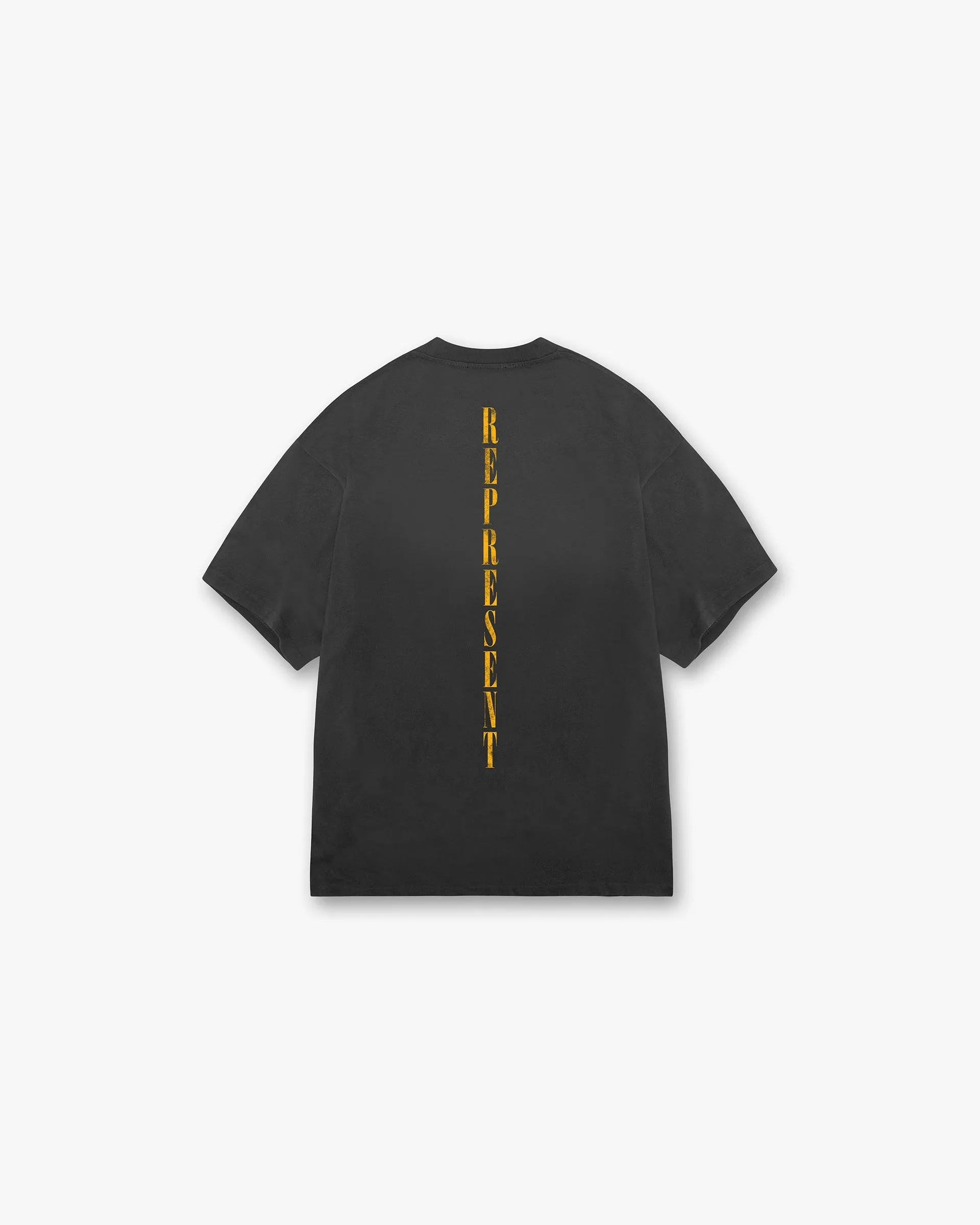 Reborn T-Shirt - Aged Black